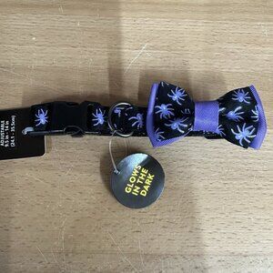 Thrills & Chills Glow in the Dark Spider Bowtie Halloween Dog Collar Small